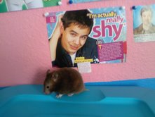 Kasey and David Archuleta! (haha)