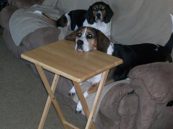 what a convenient headrest!