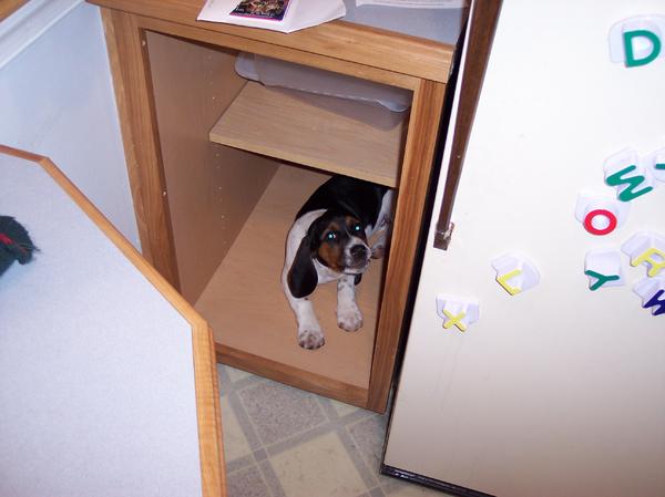 you found me!!!