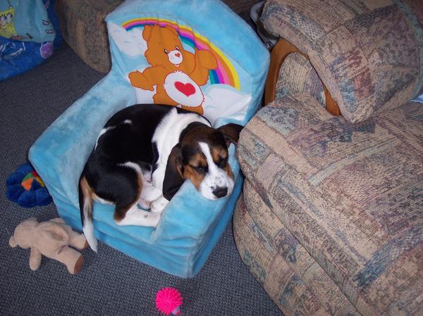 my comfy chair =)
