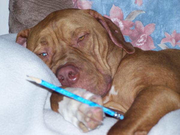 I got a pencil! (just in case I get any ideas)