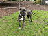 BOB rescued may 2, 2008