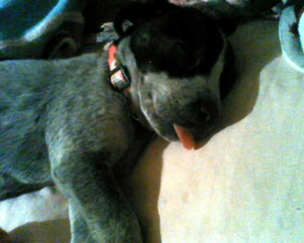 she use to sleep with her tongue out.