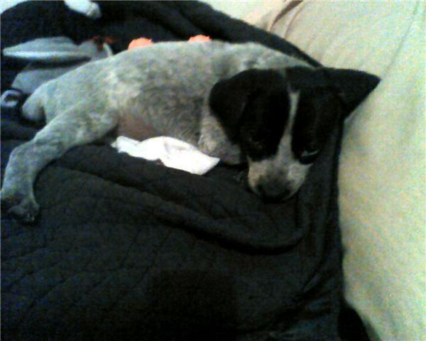trying to sleep..