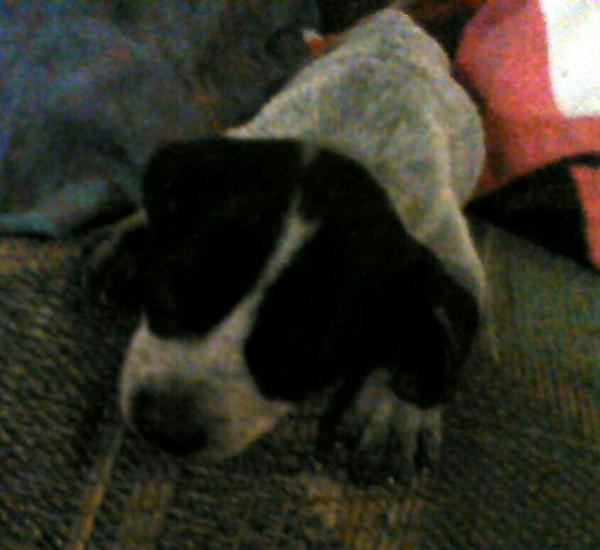 9.5.09 the day i got her.
