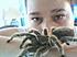 http://i207.photobucket.com/albums/bb141/rosebudfury/pudder-1.gif