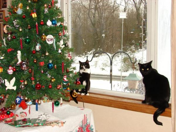 Philly and Molly