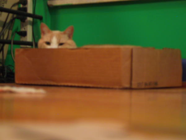 Blurry C.B. in a Box