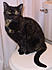 Serena in the Bathroom - I staged this to put up in the bathroom in a sign telling any visitor why they must close the toilet.