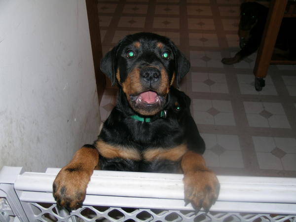 Big Mouth Max - Baby Picture