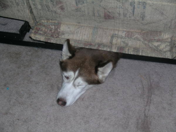 This is where Blue goes when we get to be too much of a pain