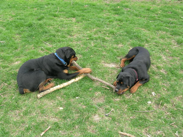 OK, we can share