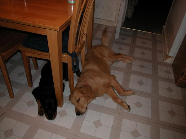 Relatives can sure wear you out