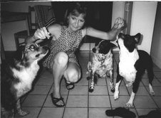Patty giving the pups a treat. Sarah- Aussie shep. Jacob- Blue Heeler. Buster- American Bulldog.