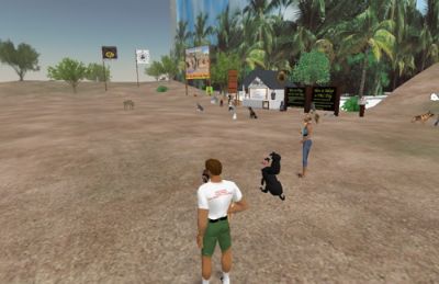 In SL I own Dogland Dog Park, and I work with owners of Virtual Dogs. I just finished a project with an RL psychologist I know . The project was designed to systematically desensitize 13 subjects to their RL fear of dogs. All 13 became virtual dog owners, in SL. The project lasted 6 months, and had great success. out of the 13, 11 reported losing their fear of Canines. 7 out of the 13 became dog owners in real life. The project was so successful, I am being sent visitors with fear of dogs, by other professionals to work with.
I personally, have used this technique with myself and a friend. We both had a fear of heights. I can only speak for myself on my results. I am disabled, and walk with assistance, however after going through steps of higher and higher platforms, and allowing self to fall off these platforms, I found improvement in my fear. I was able to climb a ladder, and stand and walk on my roof, and work on my air conditioner.
Point here is, Virtual Worlds are well suited to use to eliminate some fears, through virtual exposure to same.
Come to SL if you wish to talk about this, and see me at Dogland Dog Park in Rhoda. While there visit the dogs used to assist in this project.
