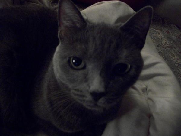 Phoebe!!!