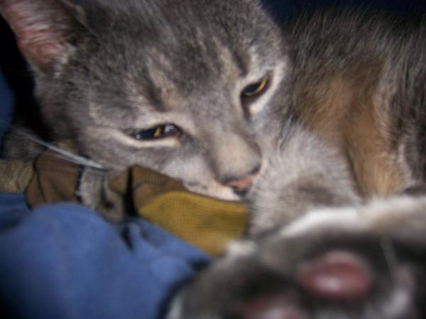 MY lil FuZzY FACE!