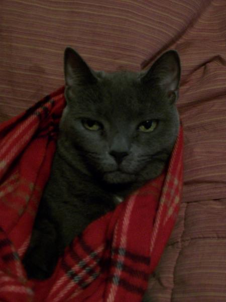PhoebE fACE!!!..the Diva Glare!..shes alot nicer then she lookz :)