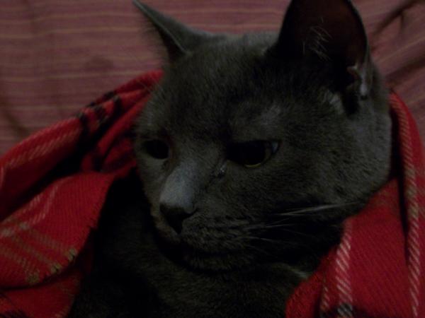 Pheobe! <3