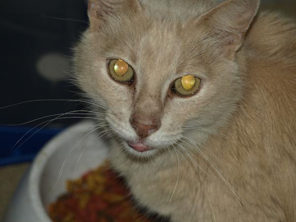 Love the eyes in this pic.