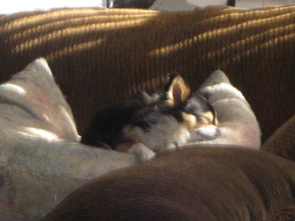 jo sleeping