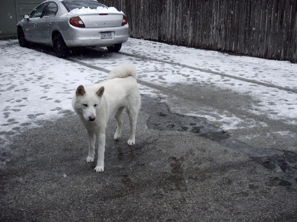 Sugar loves this kind of weather!