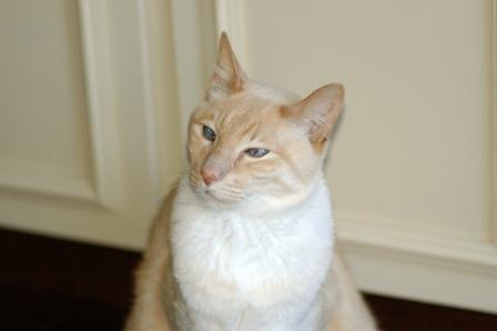 Spook: 1996-2007 RIP
