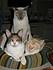 Sedona, Luna (liliac point) and Finnegan (flame point)