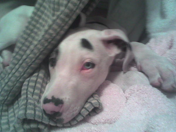 Imagen014