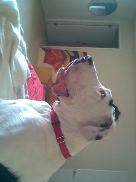 Imagen013