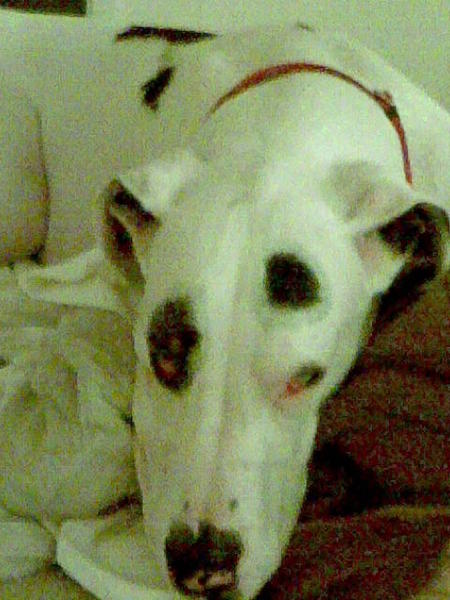 Imagen021

                         That look, is in my heart and in my mind.