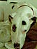 Imagen021 
 
                         That look, is in my heart and in my mind.