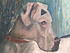 Imagen127 
                                I think I got a glimpse of you...my Lestat....