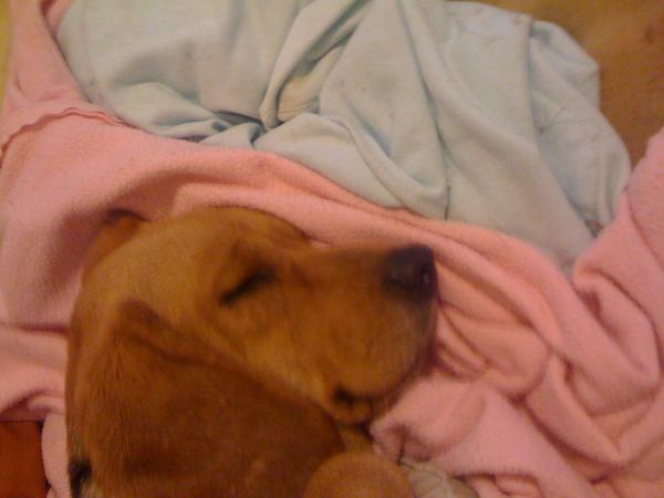 Picture 345
