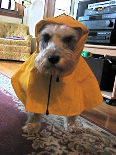 Fisherman Fritz