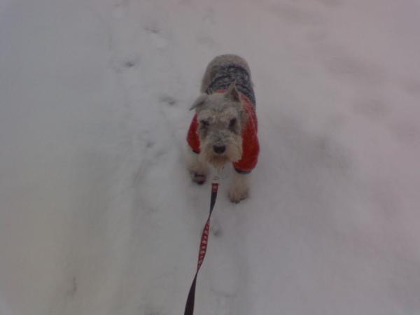 Learning about snow