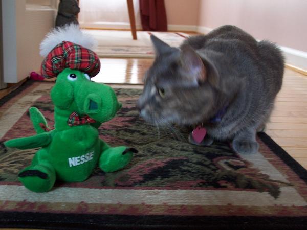 Pinot and Nessie ;)