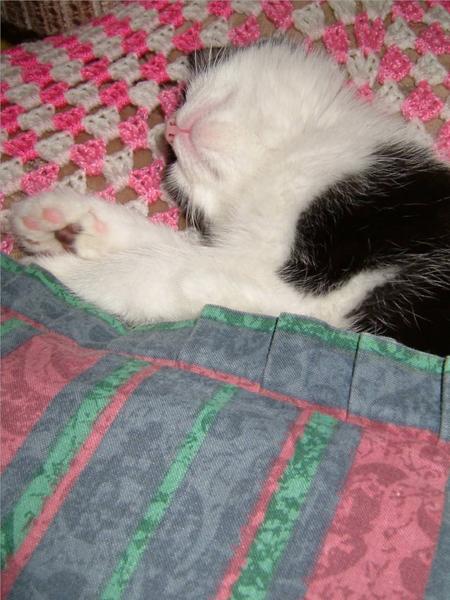 2004 27 12

First Sleeping Picture