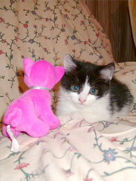 First Toy