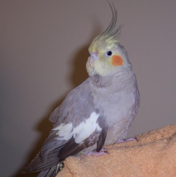 100 1707
KACEY SITTING PRETTY