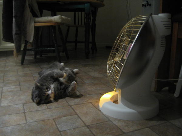 Marshmellow loves warmth!