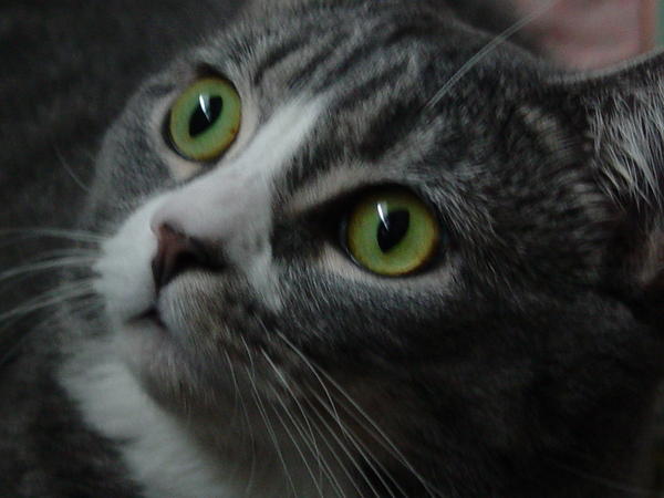 I love her green eyes, round face and short nose!