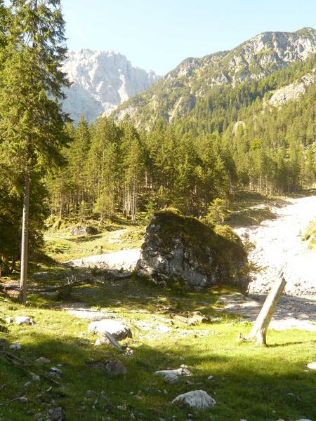 2 Tortal
