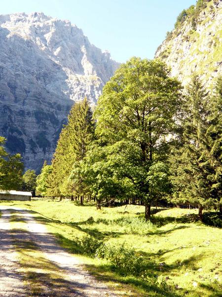 3 Tortal
