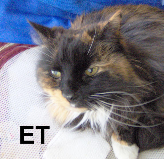 ET1
