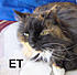 ET1
