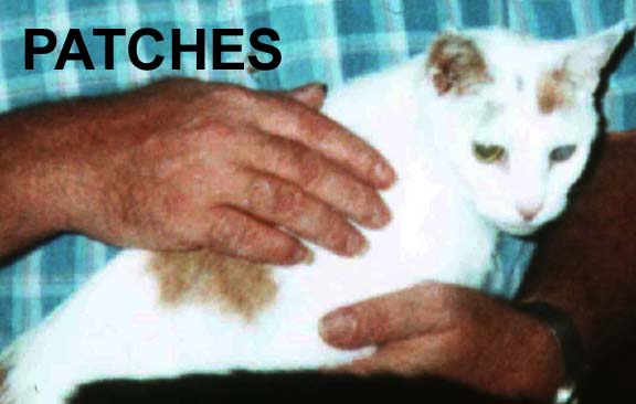 PATCH My little nurse the one that started me.