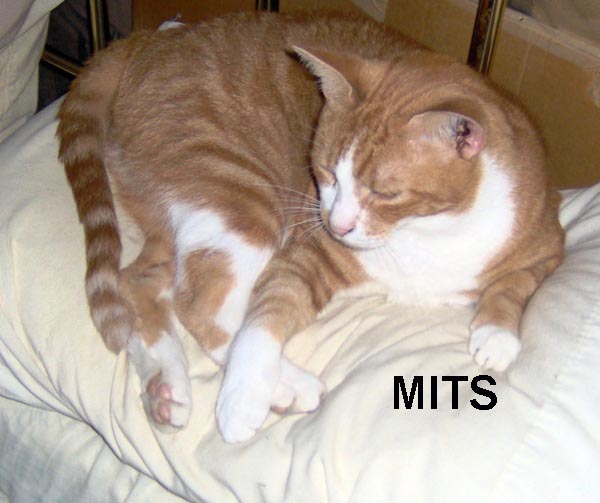 MITS 080209a