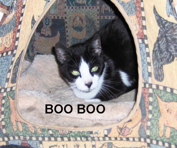 BOO BOO 07/15/10
