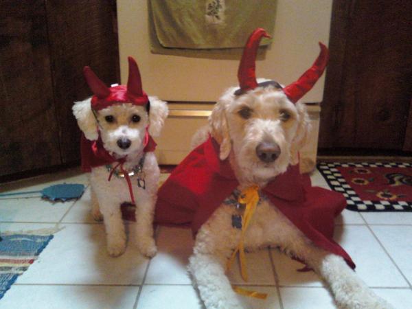 My Lil Devils
Halloween 2009